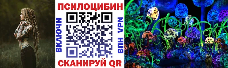 купить   Санкт-Петербург  МЕГА ONION  Галлюциногенные грибы GOLDEN TEACHER 