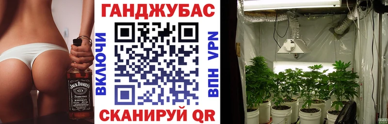 Бошки марихуана сатива  omg ссылки  Санкт-Петербург 
